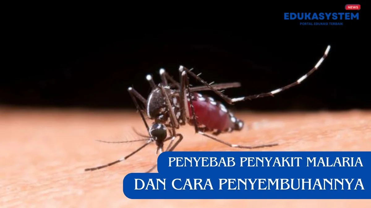 Penyebab Penyakit Malaria dan Cara Penyembuhannya