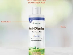 Refill Station Sabun Skincare Cara Hemat, Bebas Plastik dan Praktis