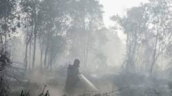 Sumber Air Menyusut, BNPB Hadapi Pemadaman Karhutla yang Kian Berat