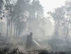Sumber Air Menyusut, BNPB Hadapi Pemadaman Karhutla yang Kian Berat